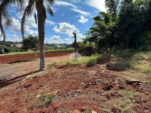 Terreno venda em Região Geográfica Imediata de Pato Branco, Região Sul