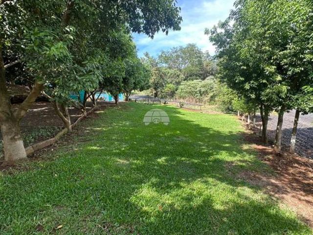 Sítio e chácara venda em Região Geográfica Imediata de Pato Branco, Região Sul