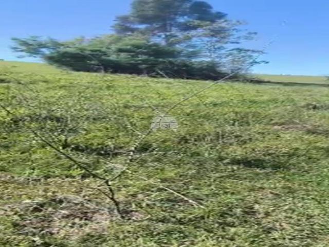 Sítio e chácara venda em Região Geográfica Imediata de Pato Branco, Região Sul