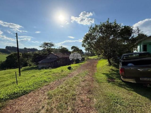 Sítio e chácara venda em Região Geográfica Imediata de Pato Branco, Clevelândia