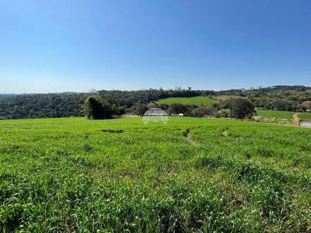 Terreno venda em Região Geográfica Imediata de Xanxerê, Passos Maia