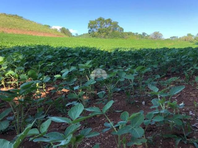 Terreno venda em Região Geográfica Imediata de Pato Branco, Clevelândia