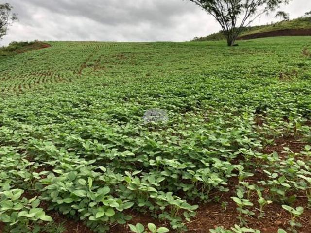 Terreno venda em Região Geográfica Imediata de Pato Branco, Clevelândia