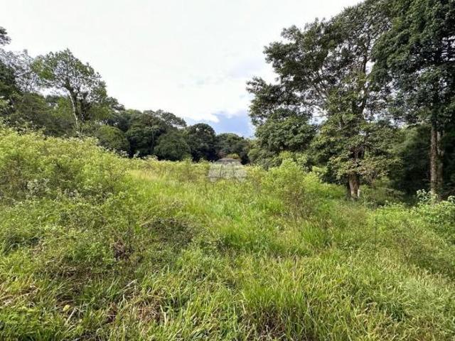Sitio venda em Pato Branco, Industrial