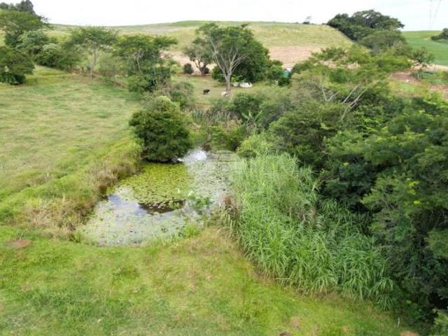Sítio e chácara venda em Região Geográfica Imediata de Pato Branco, Clevelândia