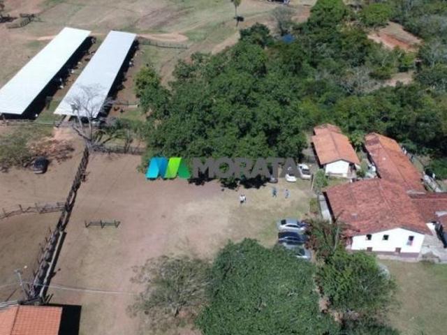 Sítio e chácara venda em Patos de Minas, Região Geográfica Intermediária de Patos de Minas