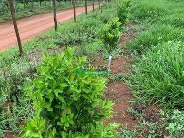 Sítio e chácara venda em Região Geográfica Imediata de Oliveira, Piedade dos Gerais