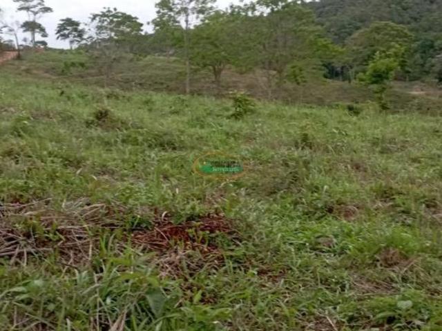 Sítio e chácara venda em Região Geográfica Imediata de Conselheiro Lafaiete, Piranga
