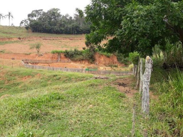 Sítio e chácara venda em Região Geográfica Imediata de Conselheiro Lafaiete, Piranga