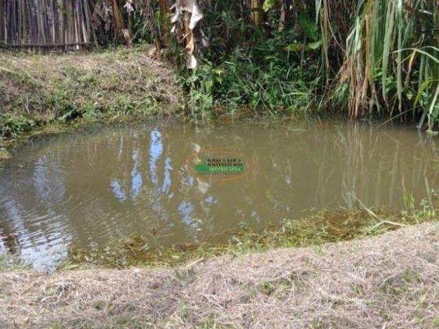 Sítio e chácara venda em Região Geográfica Imediata de Conselheiro Lafaiete, Piranga