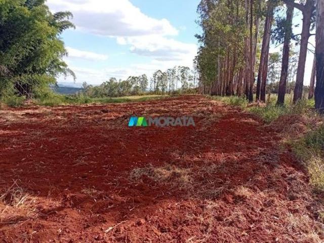 Sítio e chácara venda em Região Geográfica Imediata de Piumhi, Jerumenha