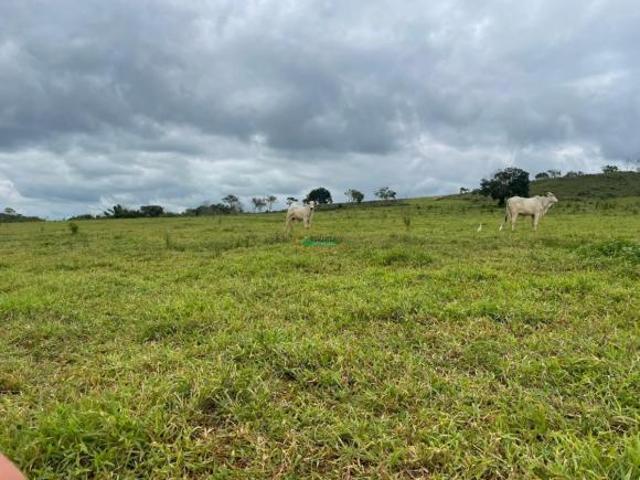 Sítio e chácara venda em Região Geográfica Imediata de Piumhi, Jerumenha