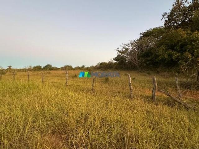 Sítio e chácara venda em Região Geográfica Imediata de Dores do Indaiá, Pompéu