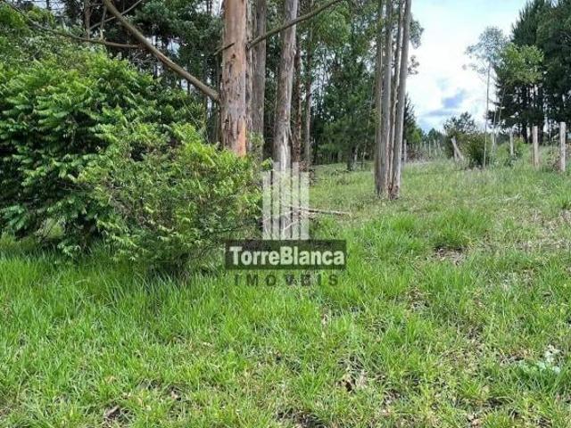 Sítio e chácara venda em Parque do Café, Ponta Grossa