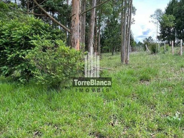 Sítio e chácara venda em Região Geográfica Imediata de Ponta Grossa, Ponta Grossa