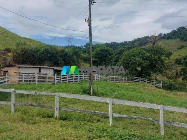 Sítio e chácara venda em Região Geográfica Imediata de Ponte Nova, Ponte Nova