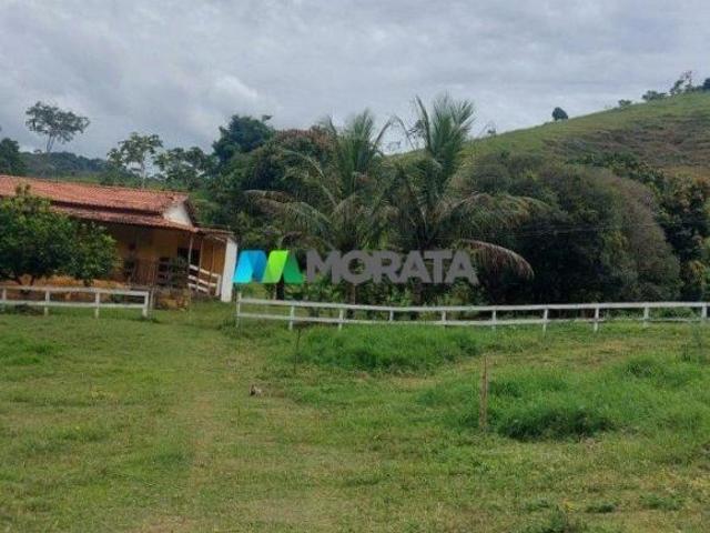 Sítio e chácara venda em Região Geográfica Imediata de Ponte Nova, Ponte Nova