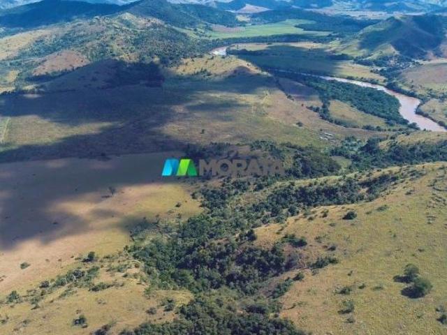 Sítio e chácara venda em Região Geográfica Imediata de Ponte Nova, Ponte Nova