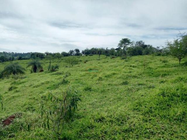 Terreno venda em Região Geográfica Imediata de Governador Valadares, Governador Valadares