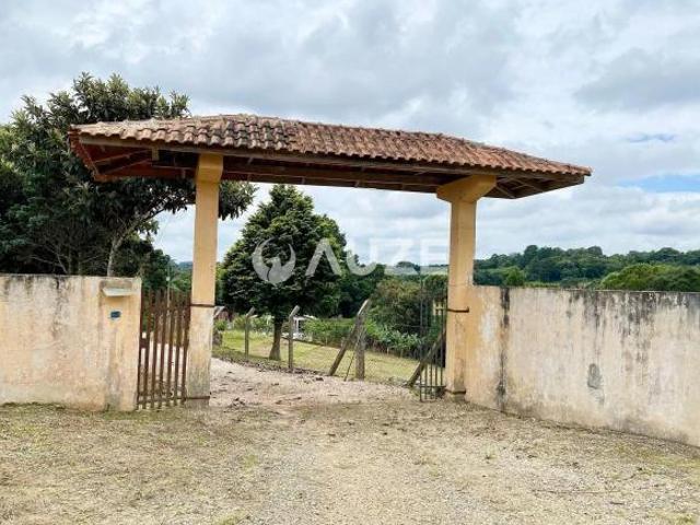 Sítio e chácara venda em Região Geográfica Imediata de Curitiba, Região Metropolitana de Curitiba