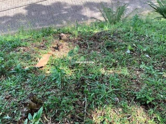 Terreno venda em Região Geográfica Imediata de Caxias do Sul, Canela