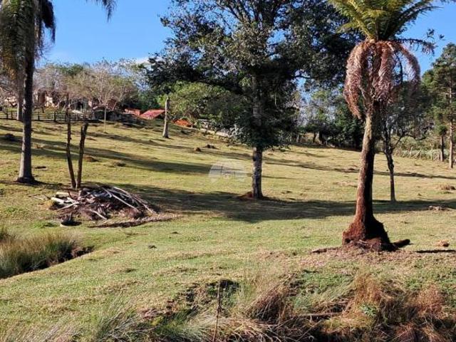 Sítio e chácara venda em Região Geográfica Imediata de Curitiba, Região Metropolitana de Curitiba