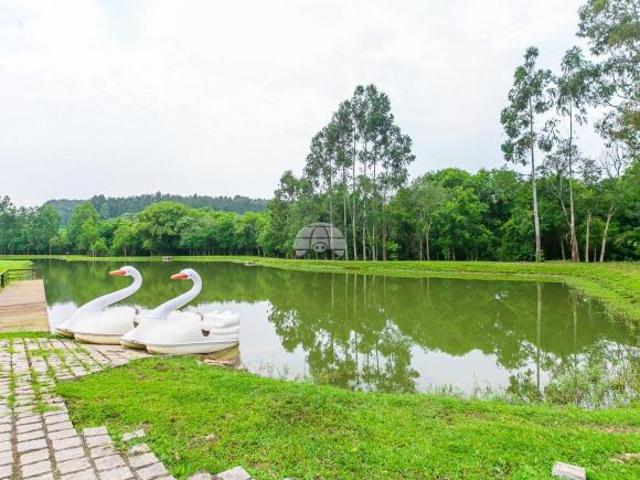 Sítio e chácara venda em Região Geográfica Imediata de Curitiba, Região Metropolitana de Curitiba