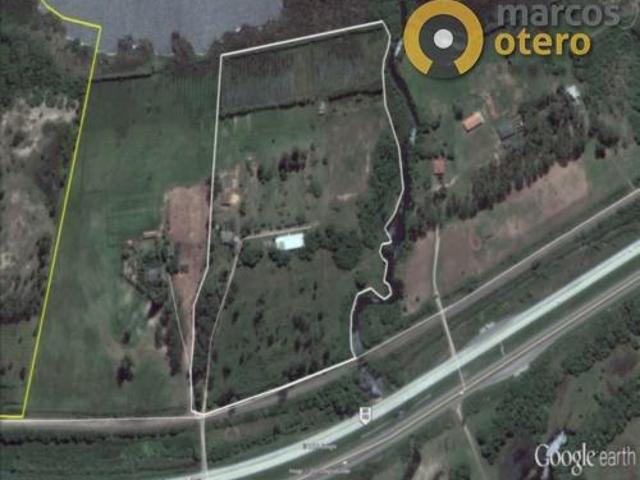 Sítio e chácara venda em Região Geográfica Imediata de Pelotas, Aglomeração Urbana do Sul