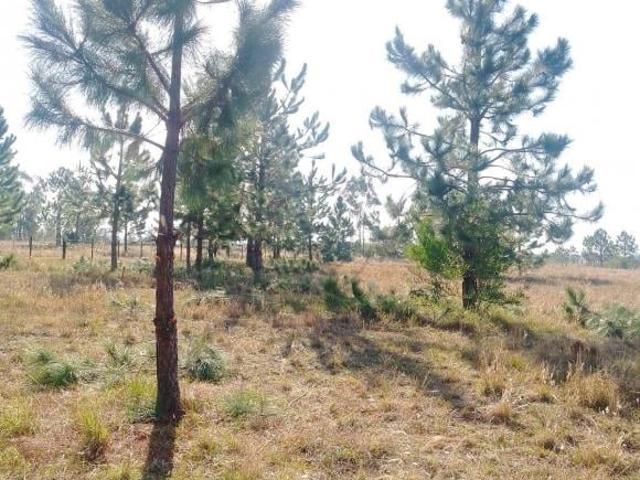 Terreno venda em Rio Grande, Região Geográfica Intermediária de Pelotas