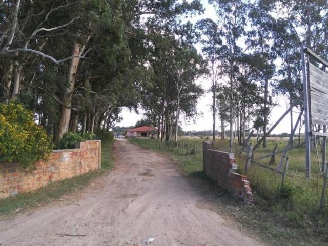 Sítio e chácara venda em Região Geográfica Imediata de Pelotas, Aglomeração Urbana do Sul