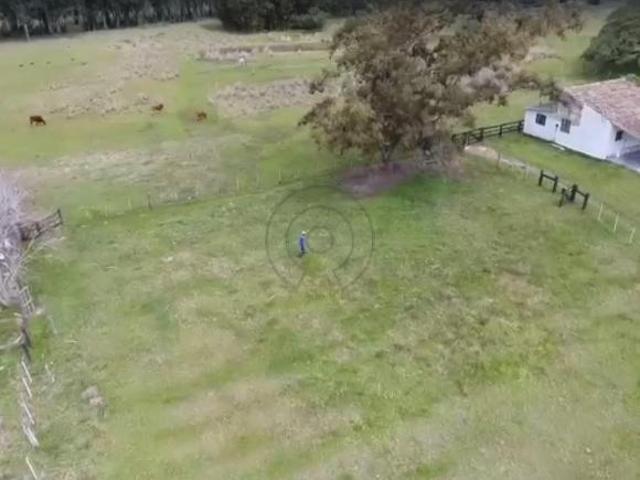 Sítio e chácara venda em Região Geográfica Imediata de Pelotas, Aglomeração Urbana do Sul