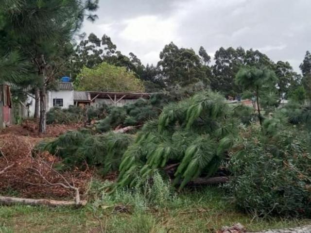 Terreno venda em Região Geográfica Imediata de Pelotas, Aglomeração Urbana do Sul