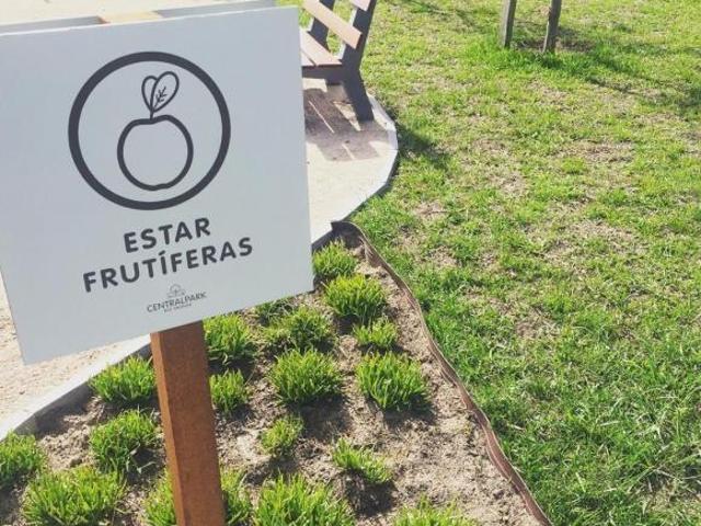 Terreno venda em Região Geográfica Imediata de Pelotas, Aglomeração Urbana do Sul