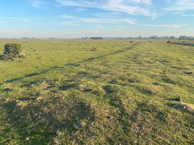 Terreno venda em Região Geográfica Imediata de Pelotas, Aglomeração Urbana do Sul