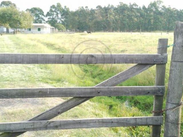 Sítio e chácara venda em Região Geográfica Imediata de Pelotas, Aglomeração Urbana do Sul