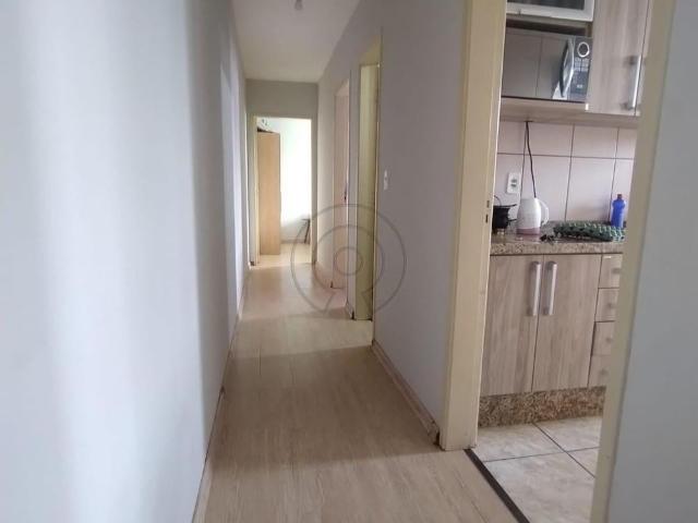 Apartamento aluguel em Rio Grande