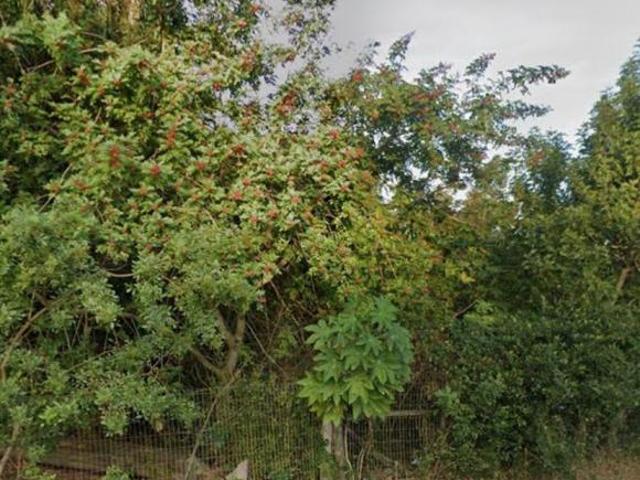 Terreno venda em Rio Grande