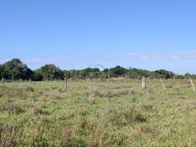 Sítio e chácara venda em Região Geográfica Imediata de Pelotas, Aglomeração Urbana do Sul