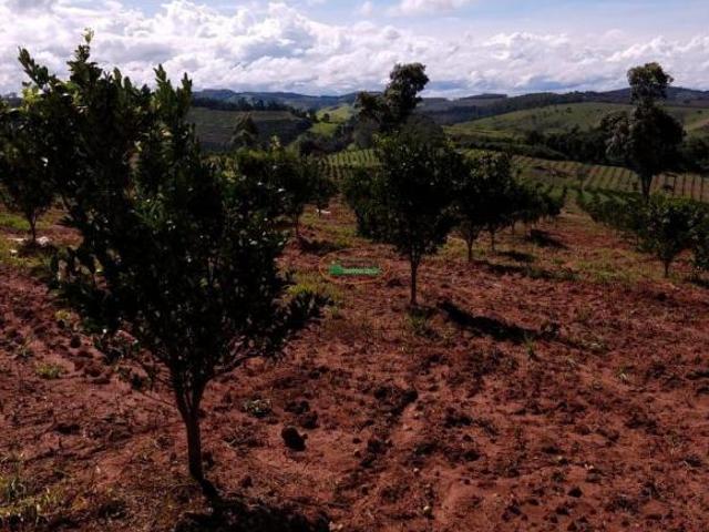 Terreno venda em Região Geográfica Imediata de Conselheiro Lafaiete, Belo Vale