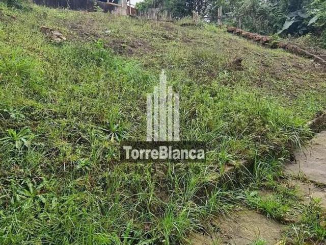 Terreno venda em Região Geográfica Imediata de Ponta Grossa, Ponta Grossa