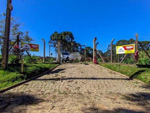 Sítio e chácara venda em Região Geográfica Imediata de Curitiba, Região Metropolitana de Curitiba