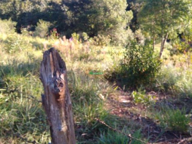 Sítio e chácara venda em Região Geográfica Imediata de Conselheiro Lafaiete, São Brás do Suaçuí