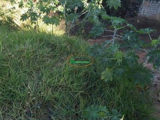 Terreno venda em Região Geográfica Imediata de Conselheiro Lafaiete, Conselheiro Lafaiete
