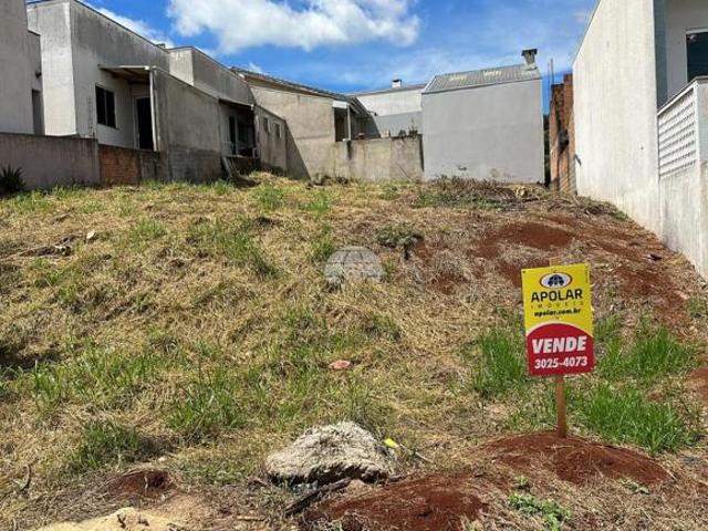 Terreno venda em Região Geográfica Imediata de Pato Branco, Região Sul