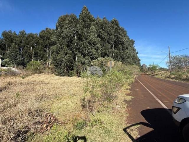 Terreno venda em Região Geográfica Imediata de Pato Branco, Região Sul