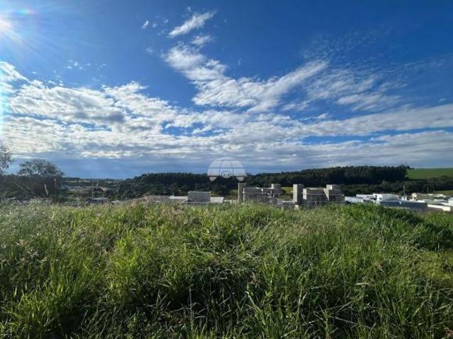 Terreno venda em Região Geográfica Imediata de Pato Branco, Região Sul