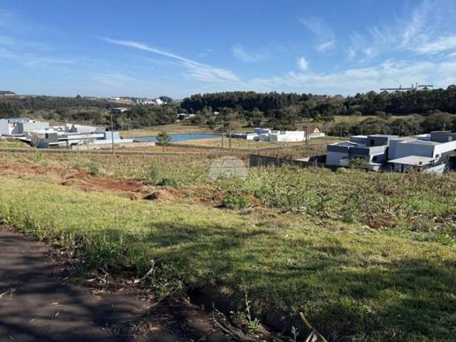 Terreno venda em Região Geográfica Imediata de Pato Branco, Região Sul