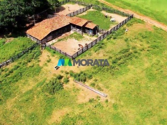 Sítio e chácara venda em Região Geográfica Imediata de Montes Claros, São João da Ponte