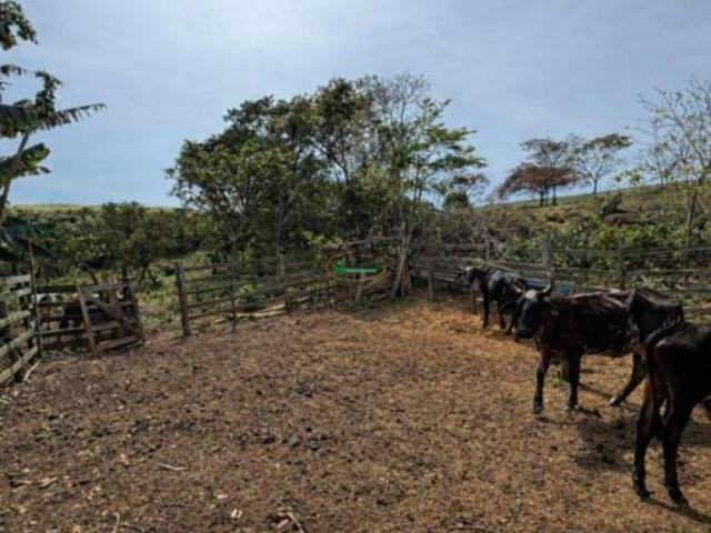 Sítio e chácara venda em Região Geográfica Imediata de São João del Rei, Região Sudeste
