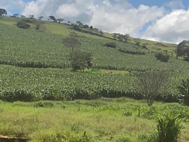 Sítio e chácara venda em Região Geográfica Imediata de São João del Rei, Região Sudeste
